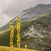 Foto: Particolare - Veduta del Monte Vettore  (Arquata del Tronto) - 8